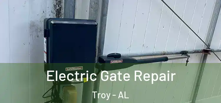 Electric Gate Repair Troy - AL